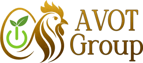 AVOT Group