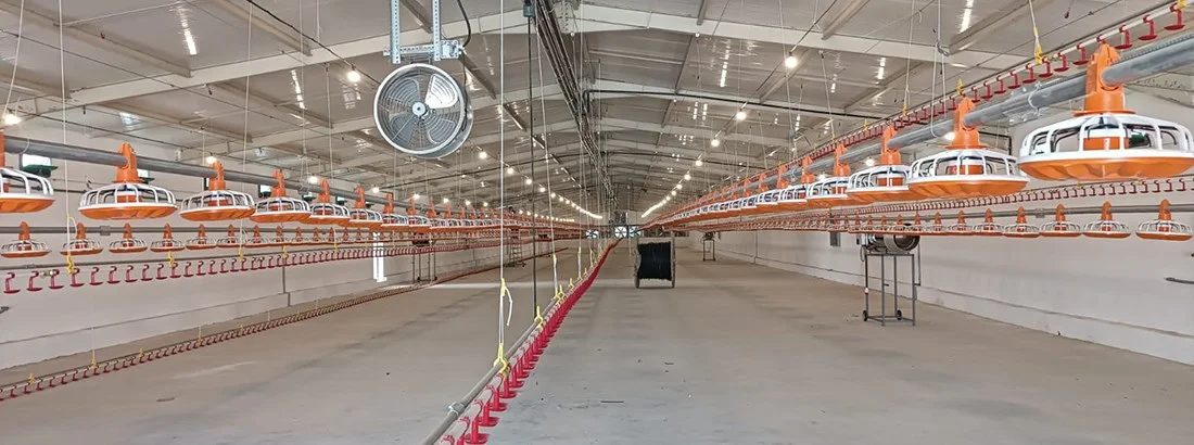 Turnkey poultry farms