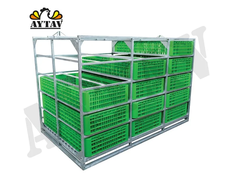 Transport coops and cages