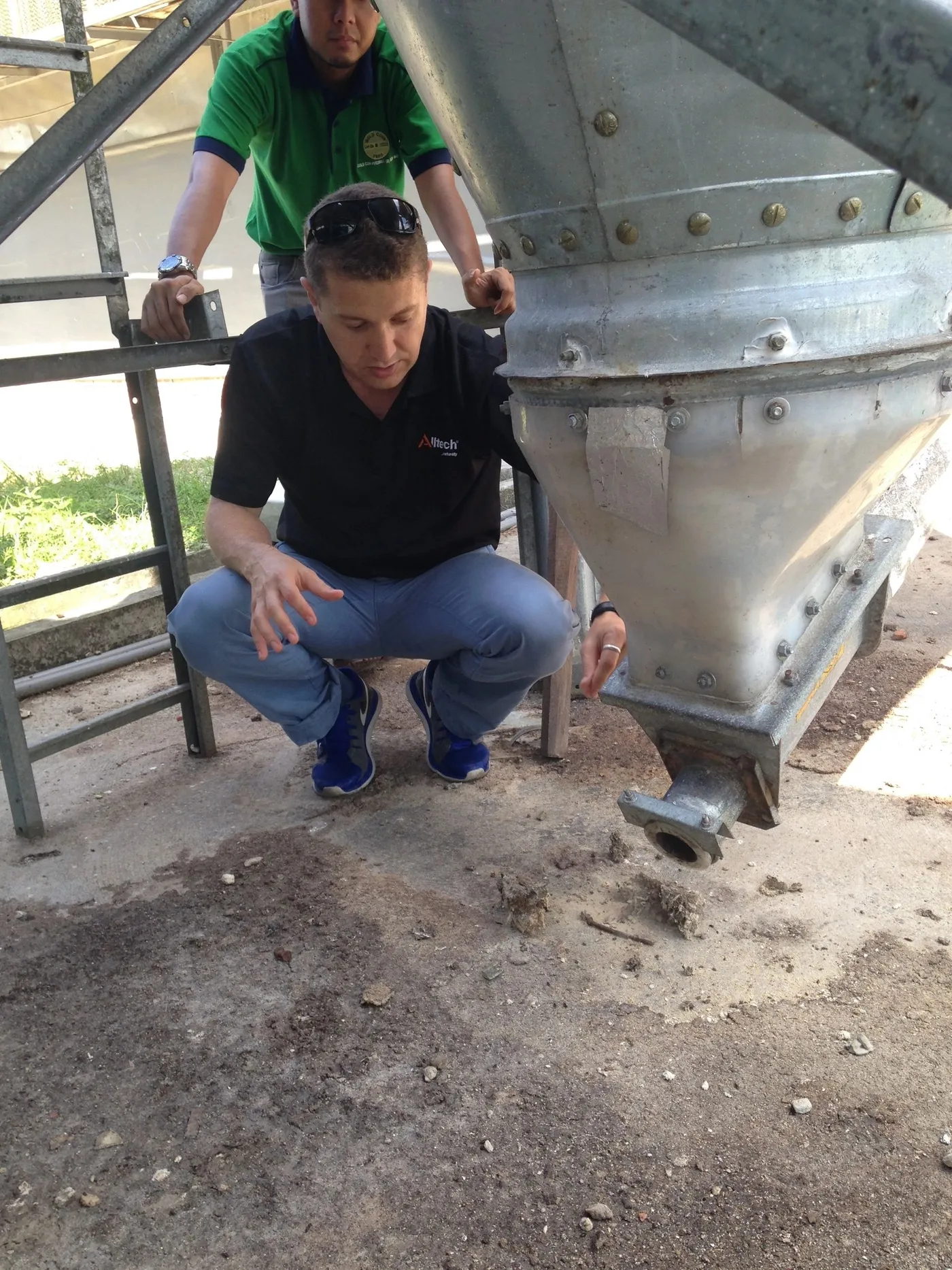 Animal welfare audits